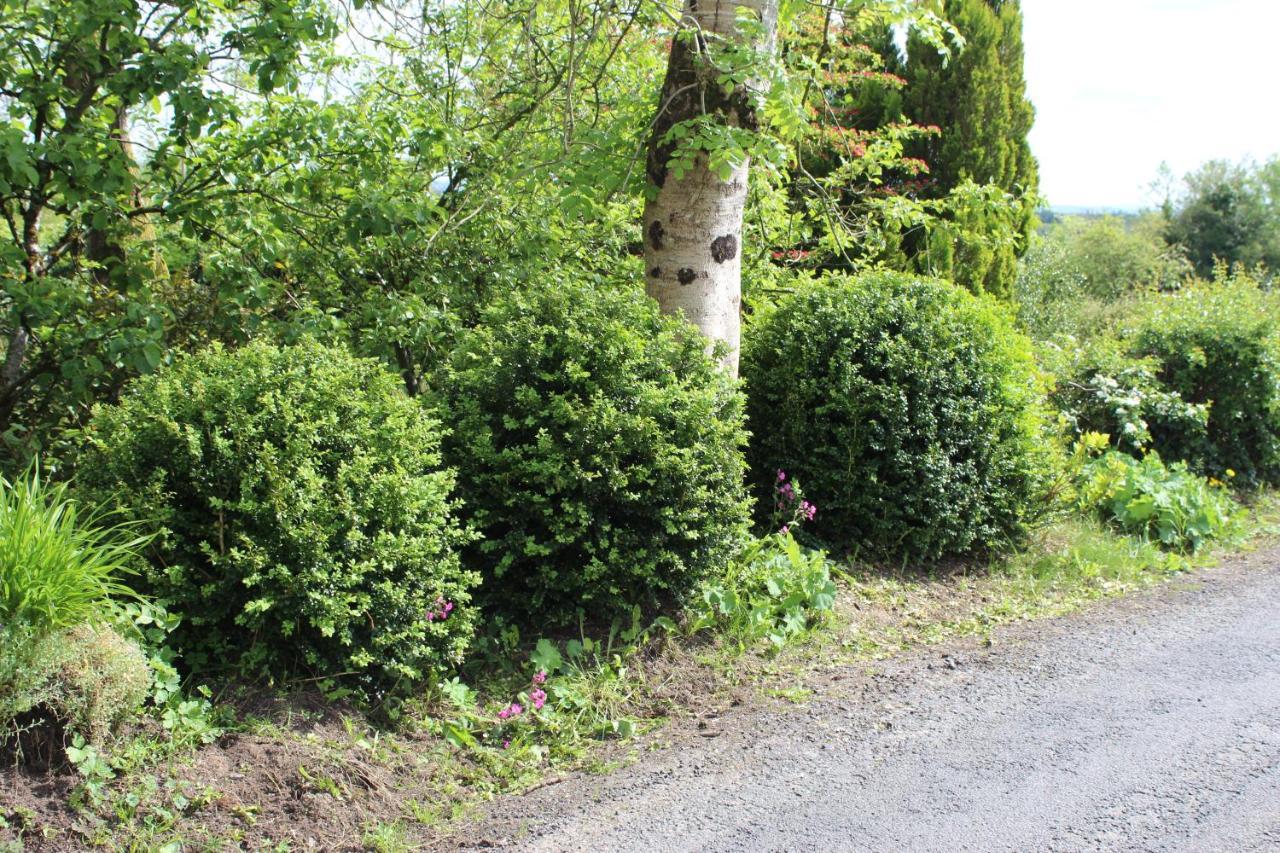 Ketty'S Cottage Rosslea Ngoại thất bức ảnh